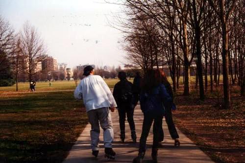 Parco Nord, febbraio 2001