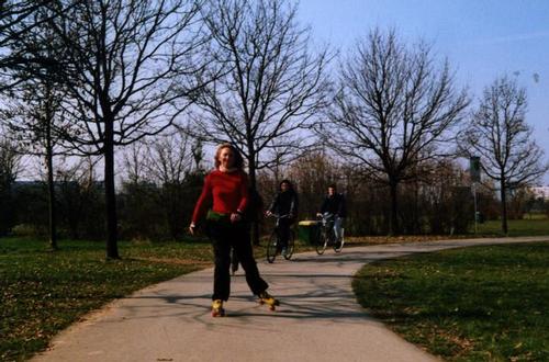 Parco Nord, febbraio 2001