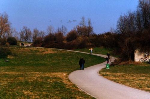 Parco Nord, febbraio 2001