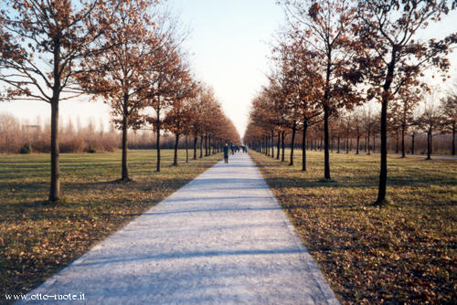 Parco Nord 1 gennaio 2002