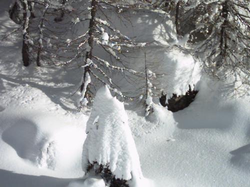 Chiesa in Valmalenco 1 gennaio 2004