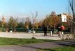 Parco Nord 25 novembre 2001 (43415 bytes)