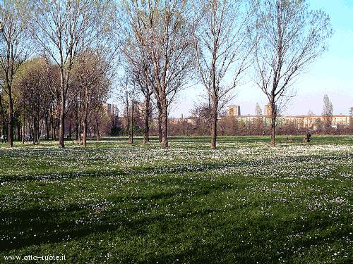 Parco di Trenno 2003 (by Fulvio);