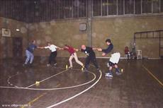 Visita le nostre raccolte fotografiche