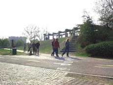 Visita le nostre raccolte fotografiche