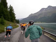 Visita le nostre raccolte fotografiche