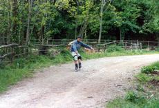 Visita le nostre raccolte fotografiche