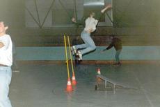 Visita le nostre raccolte fotografiche